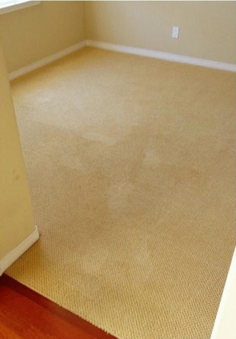 Carpet Cleaning After